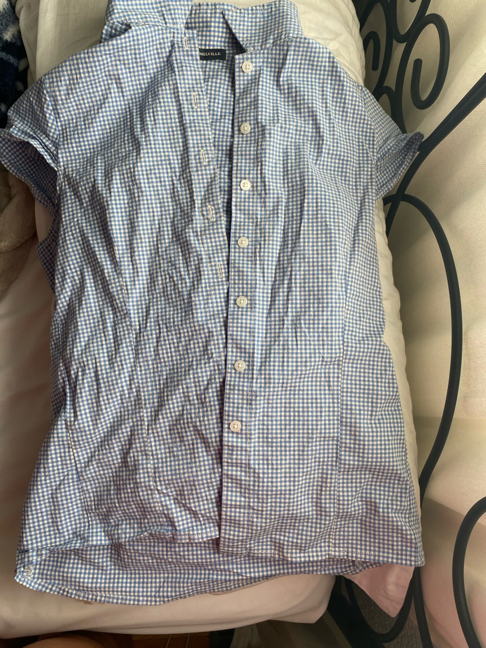 Brandy Melville Blue Gingham Button-Up